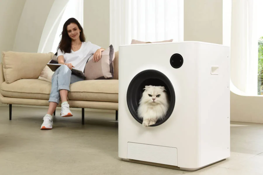 odor free litter box