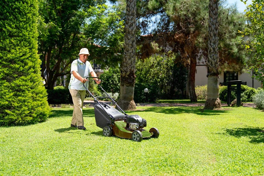 battery cordless lawn mower